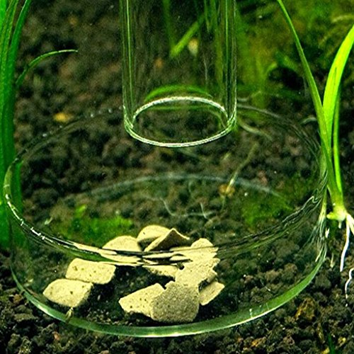 Dabixx Gamelle en acrylique pour aquarium - Pour crevettes