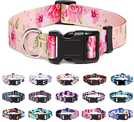Suredoo Collier pour Chien, Motif Tendance avec Boucle à dégagement Rapide, Collier Classique en Nylon Réglable pour Petits, Moyens et Grands Chiens (M, Rose)