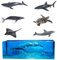FineInno 6pcs Remplisseurs de Résine 3D Animaux Marins, Moule Silicone Remplissage Thème de Océan, Remplisseur Epoxy Résine pour Fournitures Bijoux DIY Artisanat
