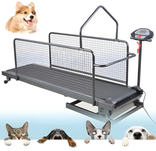 Hunde-Laufband für große/mittelgroße Haustiere, verstellbares Trainingsgerät mit LCD-Display & Schrittzähler, Indoor/Outdoor, unterstützt bis zu 100 kg