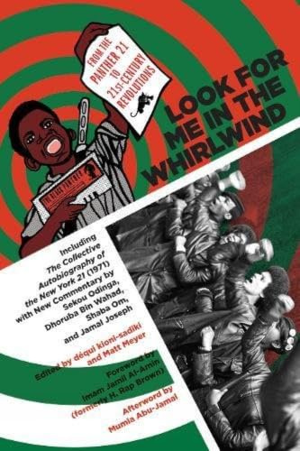 Look For Me In The Whirlwind From The Panther 21 To 21St-Century Revolutions