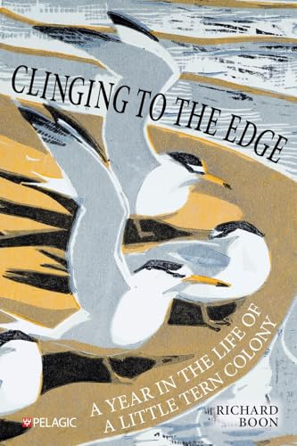 Clinging to the Edge: A Year in the Life of a Little Tern Colony