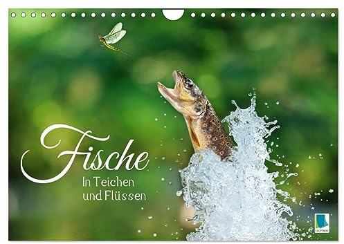 Fische in Teichen und Flüssen (Wandkalender 2025 DIN A4 quer), CALVENDO Monatskalender