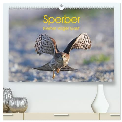 Sperber - Kleiner Vogel Greif (hochwertiger Premium Wandkalender 2026 DIN A2 quer), Kunstdruck in Hochglanz: Eindrücke aus dem Leben eines Sperberpaares (CALVENDO Tiere)