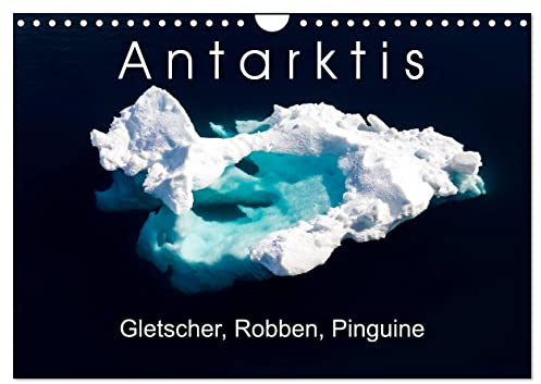 Antarktis Gletscher, Robben, Pinguine (Wandkalender 2026 DIN A4 quer), CALVENDO Monatskalender: Eindrücke vom südlichsten Kontinent der Erde in hochwertigen Bildern (CALVENDO Natur)
