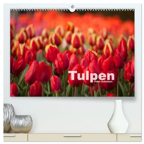 Tulpen (hochwertiger Premium Wandkalender 2026 DIN A2 quer), Kunstdruck in Hochglanz: Ein bunter Frühlingsgruß in Kalenderform (CALVENDO Natur)