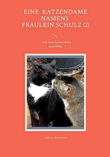 Eine Katzendame namens Fräulein Schulz (2): ...und dann kamen Bobo und Philip