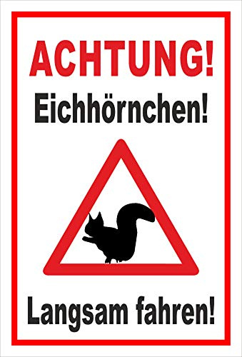 Melis-Folienwerkstatt Schild Achtung - Eichhörnchen langsam Fahren – 60x40 cm – 3mm Hartschaum – mehrere Größen/Materialien