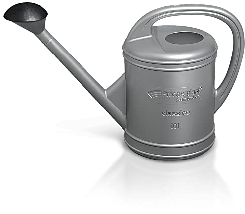 Arrosoir avec pommeau de douche - 10 l - En plastique - Pour jardin, plantes, fleurs, argent