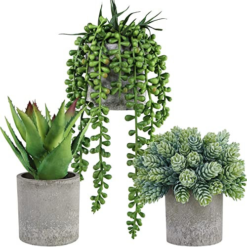 Winlyn Lot de 3 mini plantes grasses artificielles en pot avec perles d'aloès, houblon, plantes grasses dans des pots gris pour cadeaux, table, étagères, rebord de fenêtre, bureau, décoration