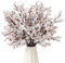 UXORSN 10 Stück Künstliche Blumen Schleierkraut Künstlich Gypsophila Sträuße Kunstblumen wie Echt Getrocknete Seide Pflanze Fake Blumen Frühlings Dekor für Vase Hochzeit Blumenstrauß Party Tisch, Weiß