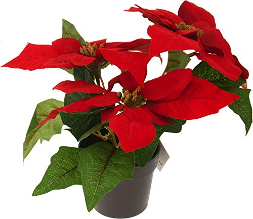 matrasa Weihnachtsstern Poinsettie Christstern künstlich - 35 cm - täuschend echte Kunstblume Rot