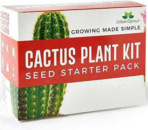 Cactus Kit - Grow Your Own Cacti Plants - Unusual Gardening Gift with Cactus Seeds, Pots & Soil - Grow Your Own Indoor Cactus Plant Kit. Perfect for Beginners