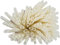 Pailles Éco-Responsables en Pomme de Terre (biseautées d'un côte) - sans plastique- Lot de 100, 100% Biodégradables, 3mm x 18cm
