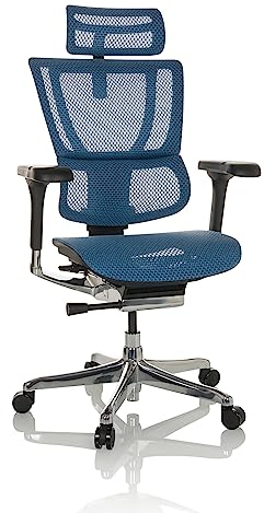 hjh OFFICE Bürostuhl ergonomisch ERGOHUMAN Slim GEN2 Originales Design, 24h Einsatz, Drehstuhl mit Flexibler Lordosenstütze, Netz Blau