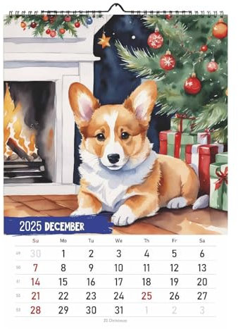 Corgi-Monatswandkalender,Corgi-Kalender 2025 - Hundekalender Wandkalender,Kalender 2025, Wandplaner aus dickem Papier, 12-Monats-Kalenderplaner, Arbeitsplatz-Dekoration