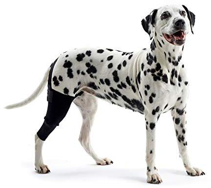 Kruuse Rehab Knieschoner für Hunde, Rechts, XXX-Small, XXS