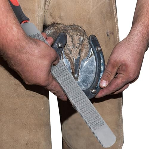 Escofina para pezuñas para caballos, de herrador - escofina para cascos de herrador de acero al carbono de doble cara | de Recorte de Herradura Herramientas de Herrador Reparación de Caballos/Burros d