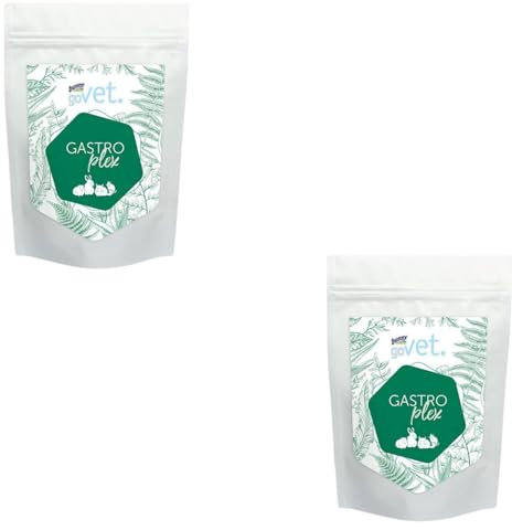 Bunny goVet - GastrOplex - Lot de 2 paquets de 2 x 325 g - Complément alimentaire pour lapins nains, cochons d'Inde, chinchillas et dégus - Pour soutenir le tube digestif