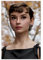 spgacr Audrey Hepburn, Leinwand-Poster, Schlafzimmerdekoration, Landschaft, Büro, Raumdekoration, Geschenk, 40 x 60 cm