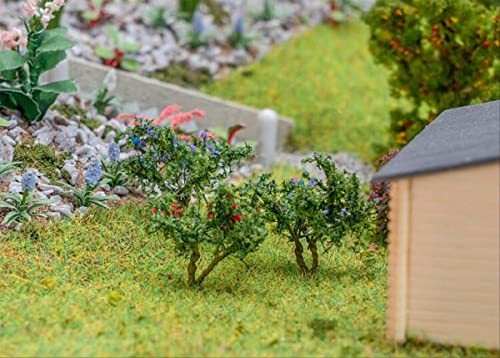Faller 95571 12 Blueberry and Currant Bushes