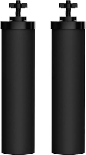 Aettechgd Lot de 2 filtres à eau par gravité de rechange pour filtres noirs Berkey® BB9-2