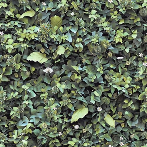 Hexoa Papier Peint Mur végétal Feuillage Vert Luxuriant Nature Tropicale - Made in France - 53x1000