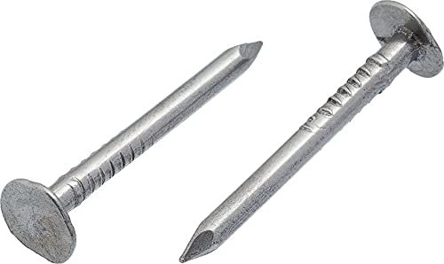 3mm x 35mm Galvanised Roof Nails Large Head Felt Clout Bright Finish Felt Tacks (Pack of 100)