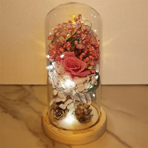 Saint Valentin Rose Eternelle sous Cloche, La Belle et la Bête Rose, Dôme en Verre Rose éternelle avec lumière LED et Base, Mariage Maison Décor, Cadeau Pour Femme, Amie, Anniversaire, Fête des mères