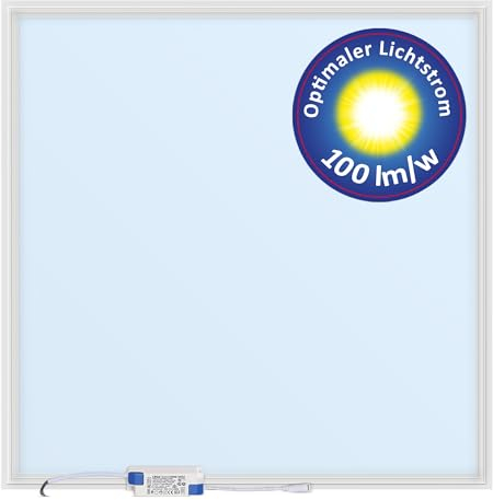 LED Deckenleuchte 62x62-2x LED Panels Tageslicht 6500K 4000lm Aufbau mit Rahmen Deckenpanel Quadratisch Deckenlampe Aufputz Werkstatt Ceiling Light (Kaltweiß mit Aufbaurahmen)