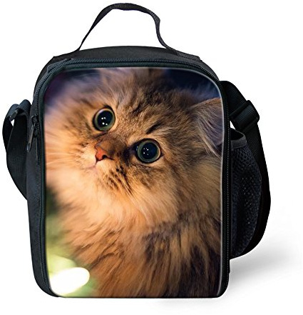 Amzbeauty Cat Lunch Box for Kids Insulated Reusable Portable Small Square Lunch Bag