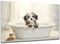 DARO Design - Toiletten-Bild auf 6mm HDF 84x56 cm Hunde-Welpe Shih Tzu in der Badewanne - Wand-Deko Bilder Lustiges Geschenk