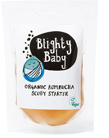 Organic Fresh Kombucha Blighty Booch Baby Scoby and Starter Tea - Makes 1l & Continuous Brew Make At Home - Endless Booch