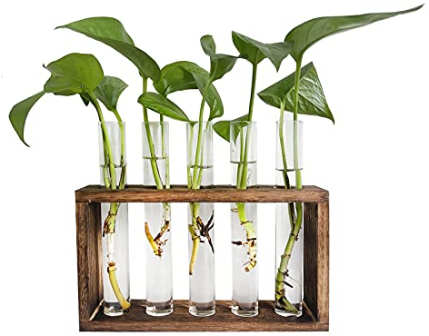 Pimaja Tube Propagation Station Wall Hanging Glass Vase in Wood Stand Rack Tabletop Terrarium with 5 Test Tube for Propagating Hydroponic Plants, Home Office Decoration