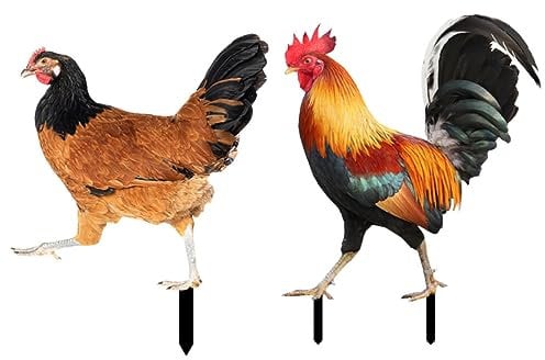 Cabilock 2stücke Hühner Gartenstecker Aus Acryl Dekorative Hühnerfiguren Für Garten Rasen Und Robuste Garten Deko Für Lebendige Atmosphäre Im Außenbereich
