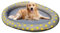 BBTISG Aufblasbarer Hundepool Float, Pet Float Sommer Haustier Aufblasbarer Float Großer Schwimmring Strandspielzeug für Erwachsene Hunde, Welpen und Katzen (Grau)