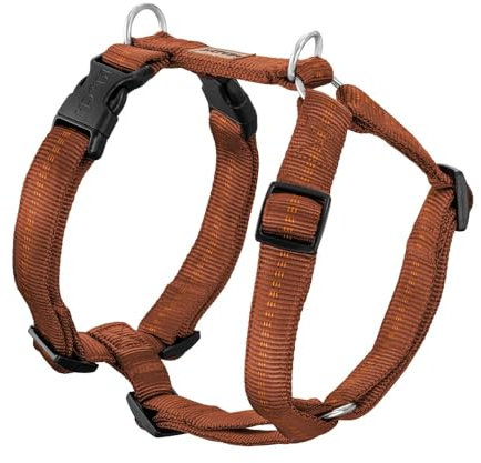 Koch Premium Geschirr Kupfer M 20mm Gurtbreite, Immer Voll gepolstert, Hundegeschirr 5-Fach verstellbar, verstellbar auch am Bauch. Mit Kennfäden