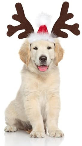 Deguisement Chien Noel, Bandeau de Noël pour Animaux de Compagnie, Serre-Tête Chien Renne Réglable, Chat Bois de Renne, Accessoires Vestimentaires pour Animaux de Compagnie (A)