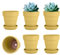 vensovo 10.16cm Yellow Clay Pot for Plant with Saucer - 6 Pack Small Terra Cotta Plant Pot with Drainage Hole, Flower Pot with Tray, Terracotta Pot for Indoor Outdoor Plant