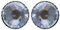 Black Jack Ohrstecker in sapphire blau