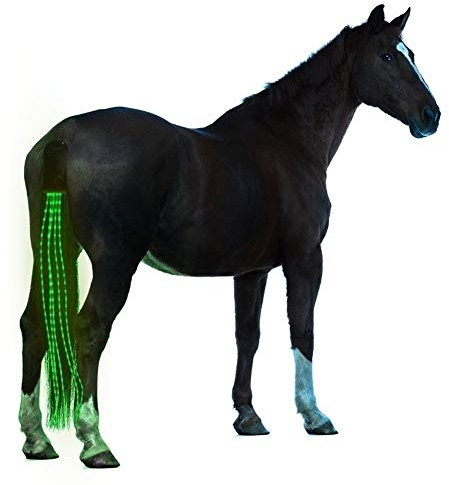 JINGBA Pferdeendstück USB Licht anrechenbaren LED Crupper Pferdegeschirr Equestrian Reiten Cheval Equitation (Color : 100cm Green)