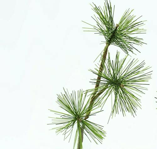finehomegarden Künstlicher Kiefernpick 12Stck. grün 3fach L29cm Kiefer Tanne Zweig Dekozweig Weihnachten Deko
