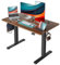 Cubiker 120 x 60 cm höhenverstellbarer elektrischer Stehtisch, T-Beine aus Stahl mit Funktions-Speichersteuerung, Antikollisionssystem, schwarzer Rahmen/Schwarze Walnuss-Tischplatte
