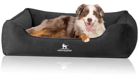 Knuffelwuff orthopädisches Hundebett Jona Samt M-L | Memory Foam | Bezug abnehmbar waschbar | gelenkschonend wärmend langlebig | für kleine mittelgroße große Hunde
