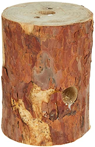 BBQ FS1000020 Trunk Sports and Outdoor Brown 20 x 15 x 15 cm