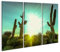 islandburner Bild auf Leinwand Arizona Wüste Kaktus Baum Landschaft Bilder Wandbilder Poster GAWB-3P