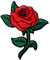 Rote Rose Gestickte Badge Eisen Auf Nähen Auf Patch