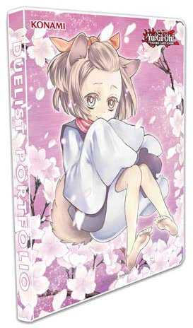 Bedrucktes Kartenspiel 9 Taschen Portfolio Binder_AB