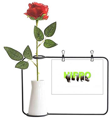OFFbb-USA Hippo Körper Segmentierung Kombination Künstliche Rose Blume hängende Vasen Dekoration Flasche