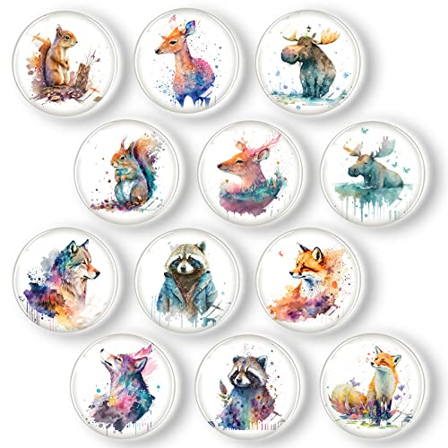 Fridge Magnets 12PCS, 3D Glass Magnets, Animals Decorative Magnets for Fridge, Whiteboards, Office, Home, Kitchen(Animals)